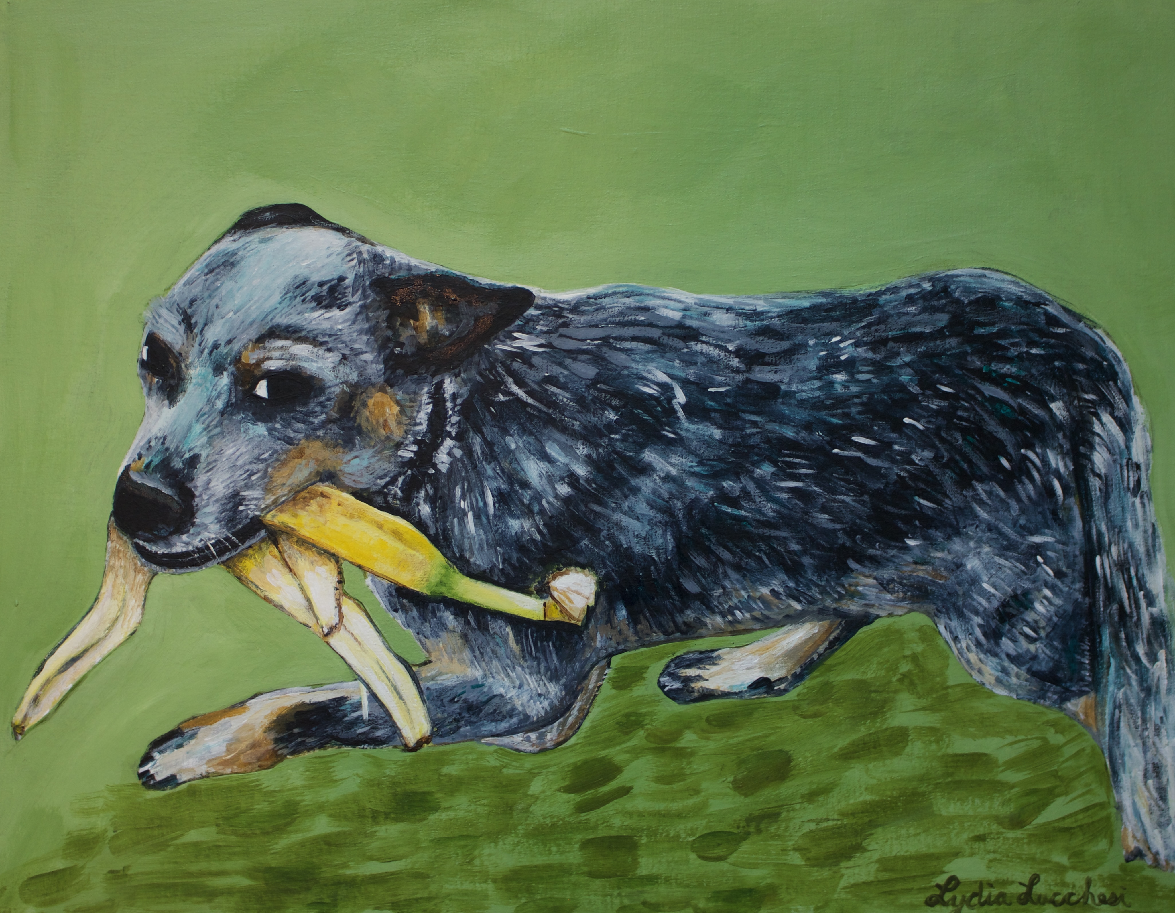 The Banana Peel painting by Lydia R. Lucchesi